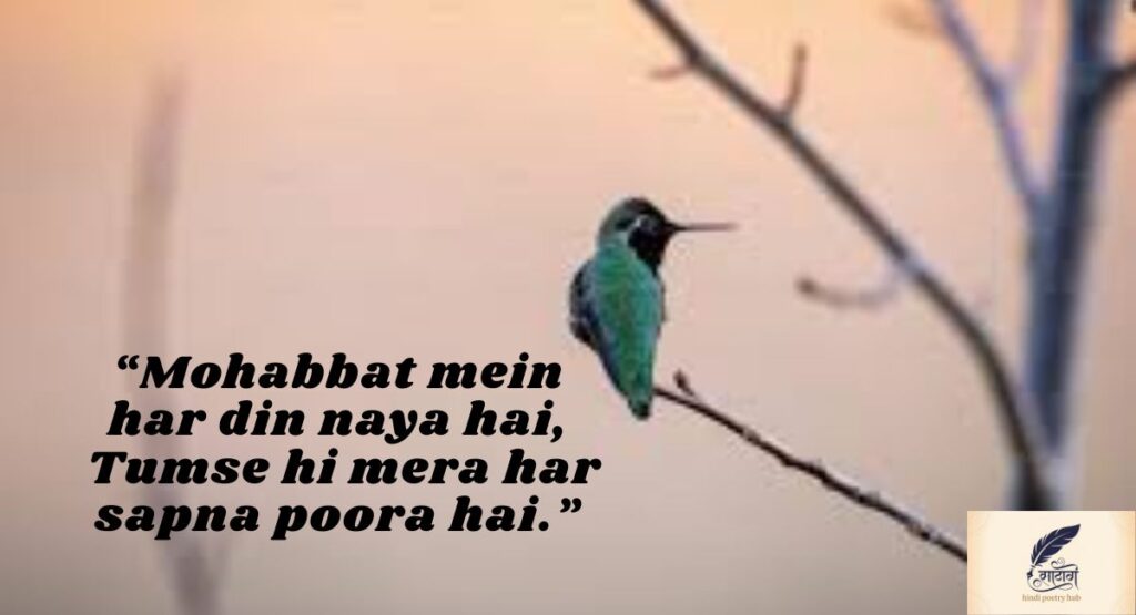 “Mohabbat mein har din naya hai,
Tumse hi mera har sapna poora hai.”
