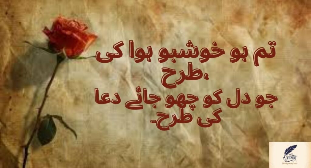 Mohabbat Love Shayari Urdu Filled With Blessings