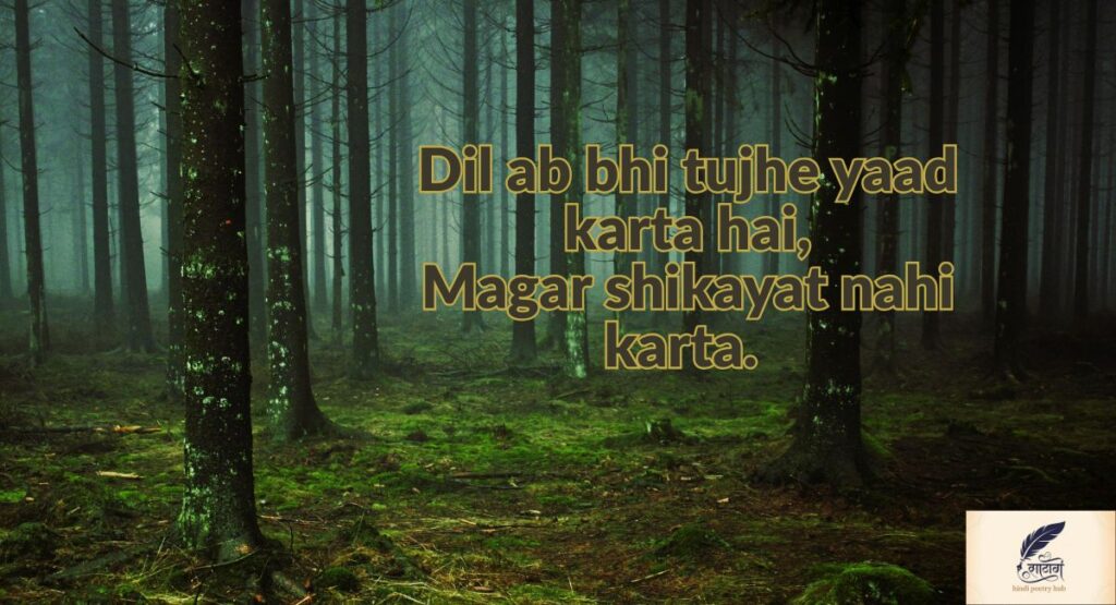 Mood Off Shayari That Echoes the Pain of a Heavy Heart